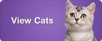 View Cats