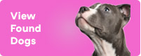 View Found Dogs